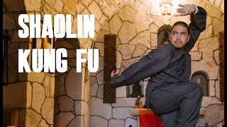 OLD SHAOLIN DOCUMENTARY: YEARS IN SHAOLIN (SHI DEJIAN)