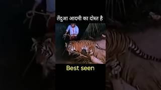 तेंदुआ आदमी का दोस्त बन चुका है #shorts #video