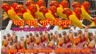 সেল, সেল, লাভ বার্ডস, পেচলেস, কনুর, ফোন করুন 6296962374,