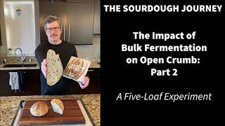 The Impact of Bulk Fermentation on Open Crumb - Part 2: Bulk Fermentation