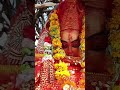 pathibhara temple taplejung pathibhara pathibharamandir hernekatha