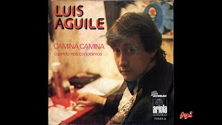 Luis Aguilé - Singles Collection 27.- Camina, camina / Cuando nos conocimos (1973)