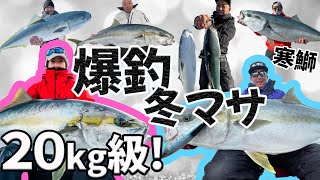 Casting Fishing - Yellowtail/Amberjack/Kingfish