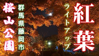 【2024】桜山公園　紅葉・冬桜ライトアップ