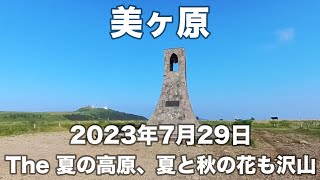 美ヶ原 2023年7月29日 THE 夏の高原、夏と秋の花が沢山