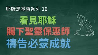 【耶穌是基督】16 看見耶穌向你顯現；你們禱告無論求甚麼，我必成就；賜下保惠師；真理的聖靈（約翰福音導讀）《聖約神學》