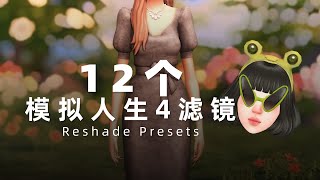 🎀如何讓遊戲畫面變好看？ 12款絕美 Reshade 濾鏡，同時適配 Gshade | 模擬市民4 濾鏡預設分享