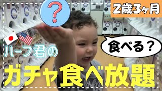 様々なガチャガチャを食していく２歳ハーフ君♪