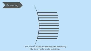 How Next Generation Sequencing (NGS) Works
