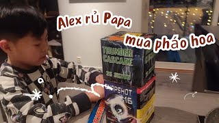 🇧🇻Hai cha con Alex rủ nhau đi mua pháo hoa / Cuộc sống Na Uy