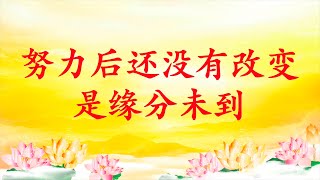 卢台长【节目录音】努力后还没有改变是缘分未到｜一切都依附于缘分而存在