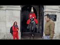 You have no respect tourist telling of Karen Her first time at horse guards  #horseguardsparade