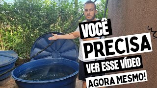 DICAS DE COMO CRIAR LAMBARI EM CAIXA D'ÁGUA! FAÇA VOCÊ MESMO.