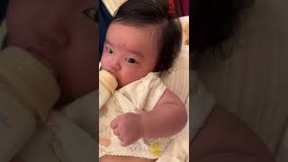 新入社員の赤ちゃん晩餐会でお食事開始#baby#babyshorts #赤ちゃん #乳児#ベイビー#赤ちゃんのいる生活