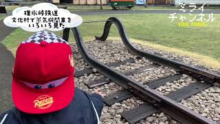 碓氷峠鉄道文化村にD51が１！