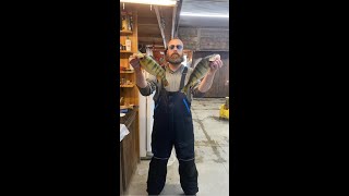 Ice Fishing PERCH ! ! !  Presque Isle Bay Erie PA ! ! !  2025 ! ! ! PB PERCH !