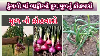 ડુંગળીના પાકની માલીપા l ફૂગ અને બાફ્યો  l અણીબળો  l  #khetikasagar #નિલમ_એગ્રો_કેમિકલસ_તળાજા