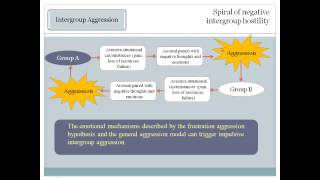 Intergroup Relations   Causes