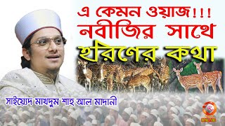 হরিনের কথা নবীজির সাথে ! সাইয়্যেদ মাখদুম শাহ আল মাদানী l Saiyed Makhdum Shah ! Royal tv bd