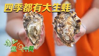 生蚝养殖户们最在意的就是“水温”！想要收获个大肥美的生蚝，秘密就是帮它们“搬家” |「谁知盘中餐」20230712