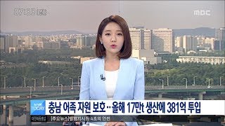 [대전MBC뉴스]충남도, 수산물 17만t 생산 목표로 381억 투입