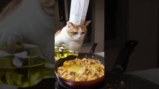 猫の料理 cat cooking #catlovers #猫 #猫のいる暮らし #aiart