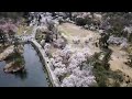 新潟県長岡市 悠久山公園 春 桜 ドローン空撮