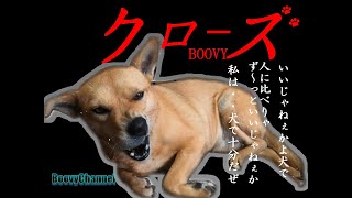 【犬と飼い主の朝のルーティーン】終始かわいい♥特にラストは必見#13