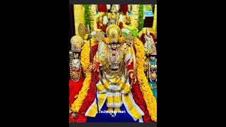 వామన అవతారంలో భద్రాద్రి రామయ్య//vamana avathar in bhadrachalam(8jan2022)