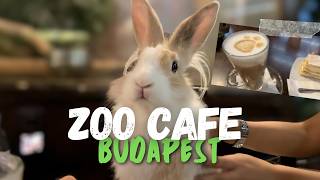 Budapest Zoo Café | A Hidden Gem for Animal Lovers 🐾🦁☕