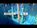 프리다이빙 6개월 후기 l 6 months as a Freediver in Korea(ENG)