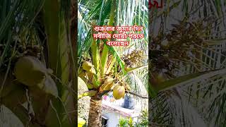 শুক্রবার জুমার দিন নবীজি দোয়া পরতে বলেছেন #trending #shortvideo #shortsvideo @nadiasvlog8338