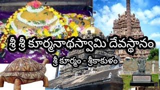 Sri Kurmanatha Swami Temple - Srikurmam|  శ్రీ కూర్మనాథస్వామి దేవస్థానం - శ్రీకూర్మం |