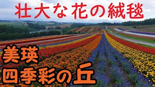 【癒しの風景/Healing landscape】北海道美瑛町　四季彩の丘　【自然音/Natural sounds】