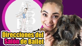 🔥Posiciones del CUERPO en BALLET | Direcciones SALON de DANZA ✅ | Croise y Efface position