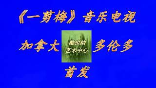 张振国导演的音乐电视《一剪梅》加拿大维也纳艺术中心演唱