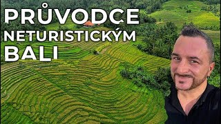 Průvodce: Neturistické Bali, nedotčená místa, rýžová pole, vodopády a tajemná jeskyně | Lowkosťák