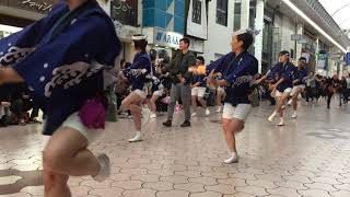 高知市役所踊り子隊　土佐のおきゃく2019　よさこい春の舞　帯屋町二丁目