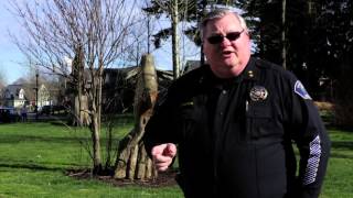 Traffic Safety Cameras: Saving Lives in Oregon