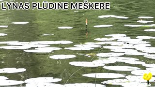 LYNŲ ŽVEJYBA PLŪDINE MEŠKERE 2024