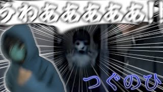 ホラーゲームなのに幽霊より虫にビビる男【つぐのひ】