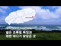 4k_sub sea farm_ jeju in korea