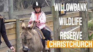 Christchurch Series: WillowBank Wildlife Reserve - Sights and sounds