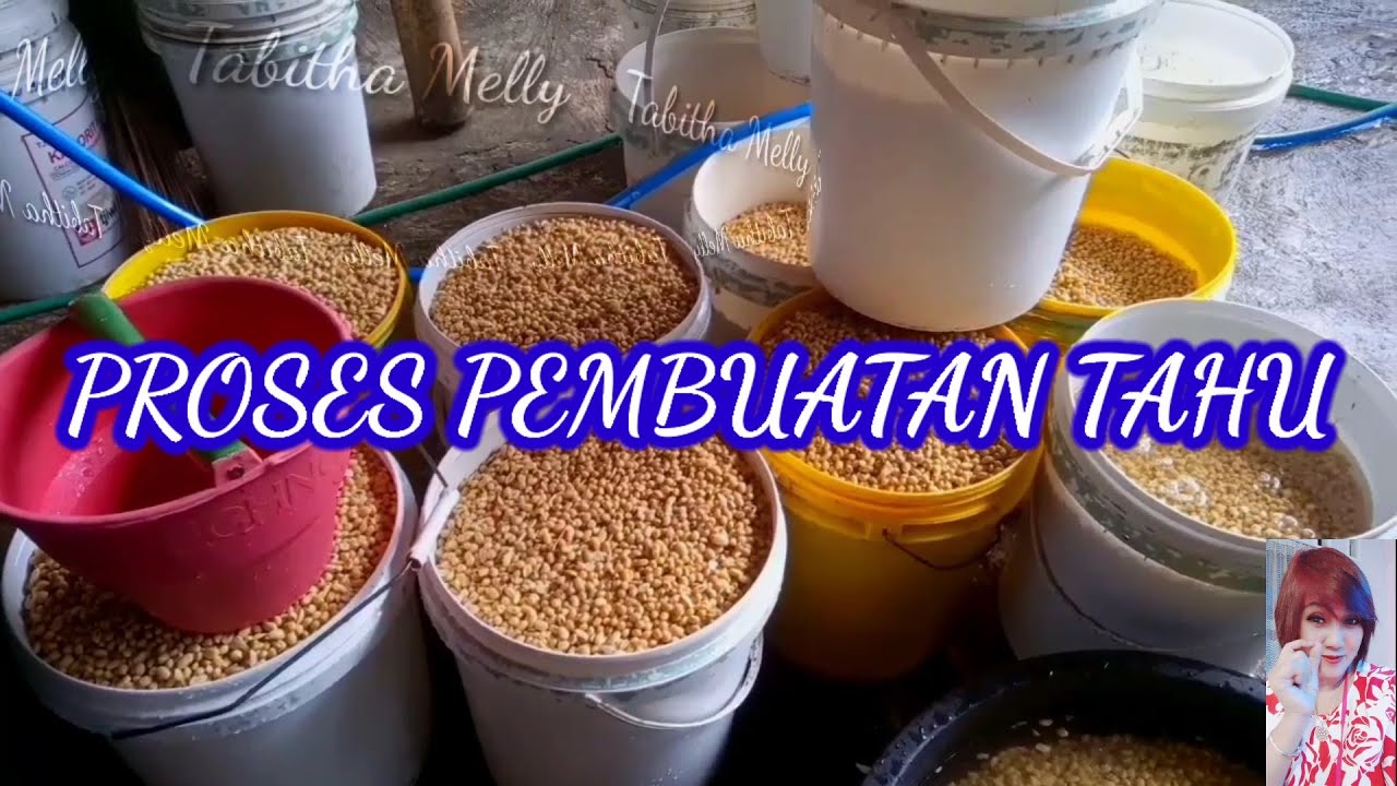 PROSES PEMBUATAN TAHU @thabithamelly - YouTube