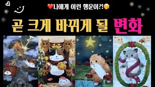 [타로]😊크게 바뀌게 될 나의 삶! 어떤일이 생길까? 🎉😄🌈