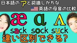 87【æ, ɑ, ʌ】違いを区別して聞き取り・発音できる？