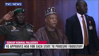 NEC Approves Release of More Food Items to 36 States, FCT, Veronica and Mike Okwoche Speak