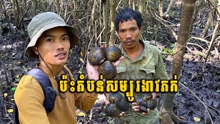 ងាវភក់ច្រើនណាស់ រកបានចម្អិននៅទីនេះហូបឆ្ងាញ់ Survival in the Sea area Eating delicious #adventure