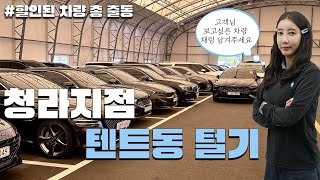 [리본카 청라지점] 김신령 매니저가 추천하는 #가성비중고차 #중고차추천 #중고차구매 총 15대 구경하세요🚗💨💨