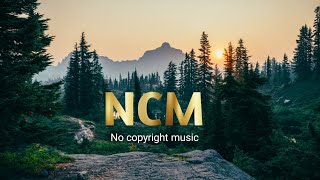 🎧Elektronomia & RUD - Rollercoaster [NCS10 Release]🎧(Copyright Free song) 🎧EDM songs